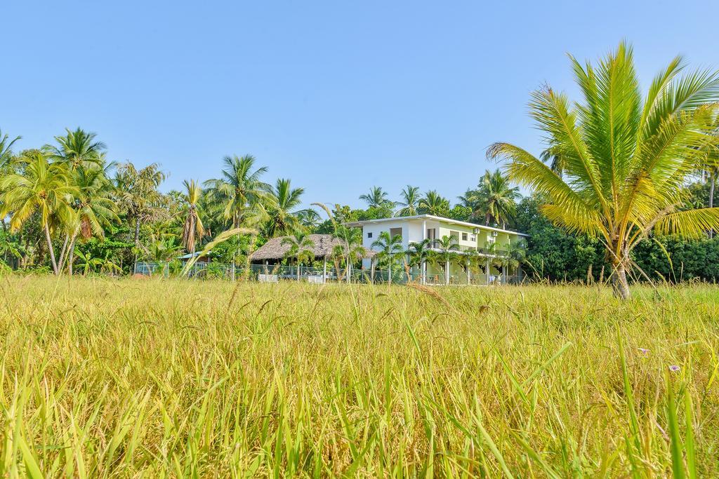 Hotel Ancient Village Polonnaruwa Ngoại thất bức ảnh